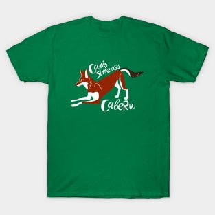 Caberu the Ethiopian Wolf #3 T-Shirt